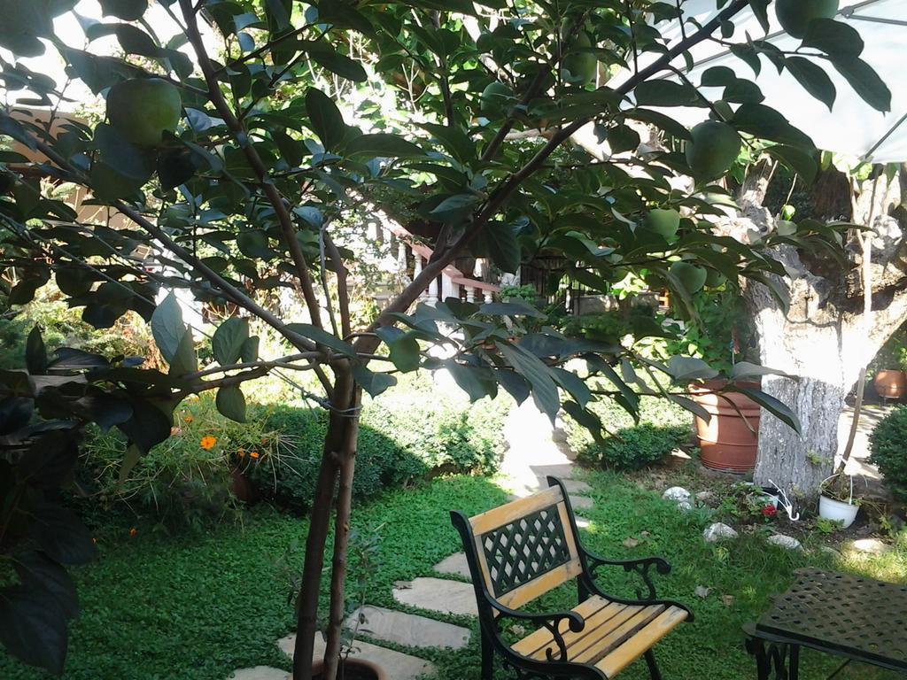 Sofia Rooms Kalampáka Dış mekan fotoğraf